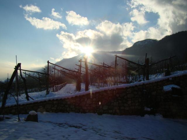 Agritur Maso Spezial Villa Villa Lagarina Exterior foto