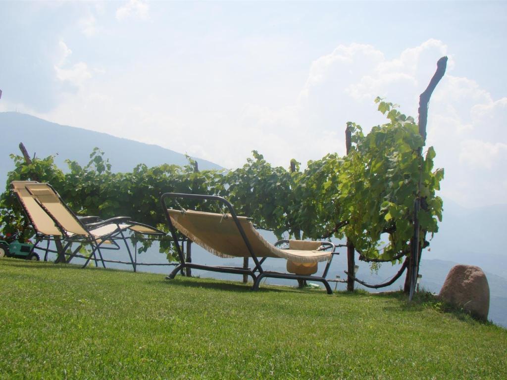 Agritur Maso Spezial Villa Villa Lagarina Exterior foto