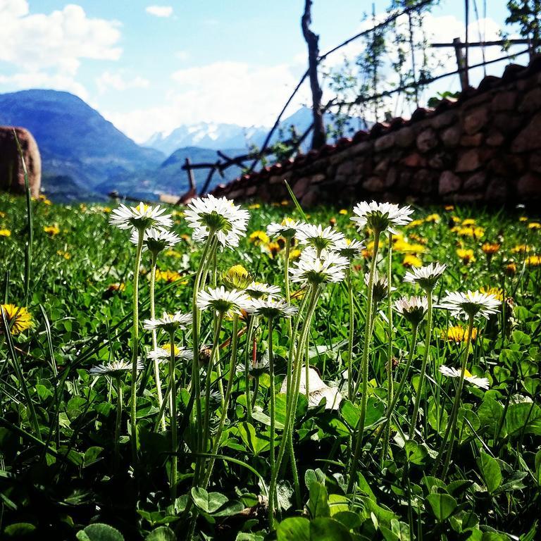 Agritur Maso Spezial Villa Villa Lagarina Exterior foto