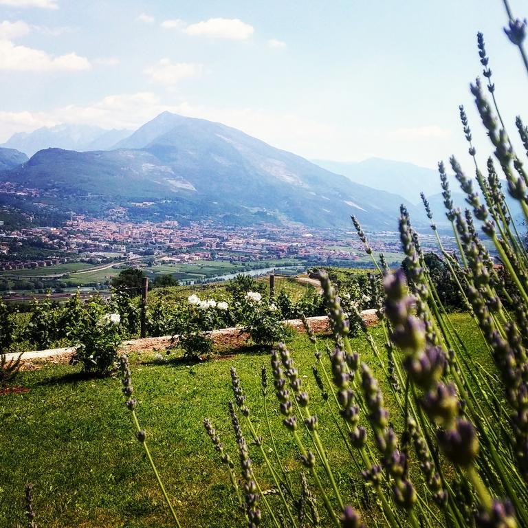 Agritur Maso Spezial Villa Villa Lagarina Exterior foto